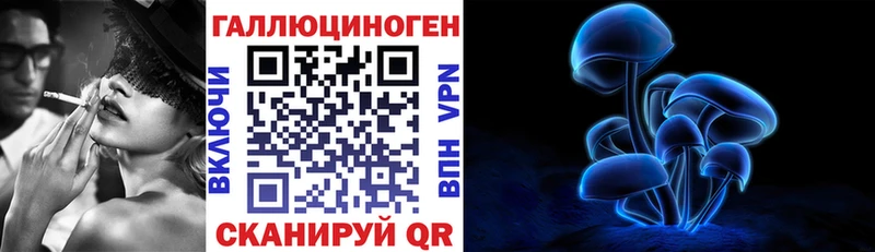 Галлюциногенные грибы GOLDEN TEACHER  Чкаловск 